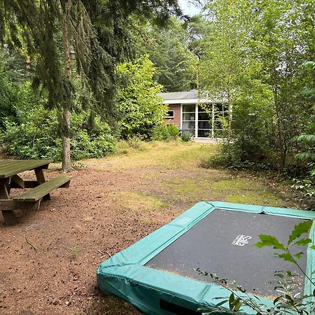 Relaxen In Het Bos Met Privesauna โฮลเตน ภายนอก รูปภาพ