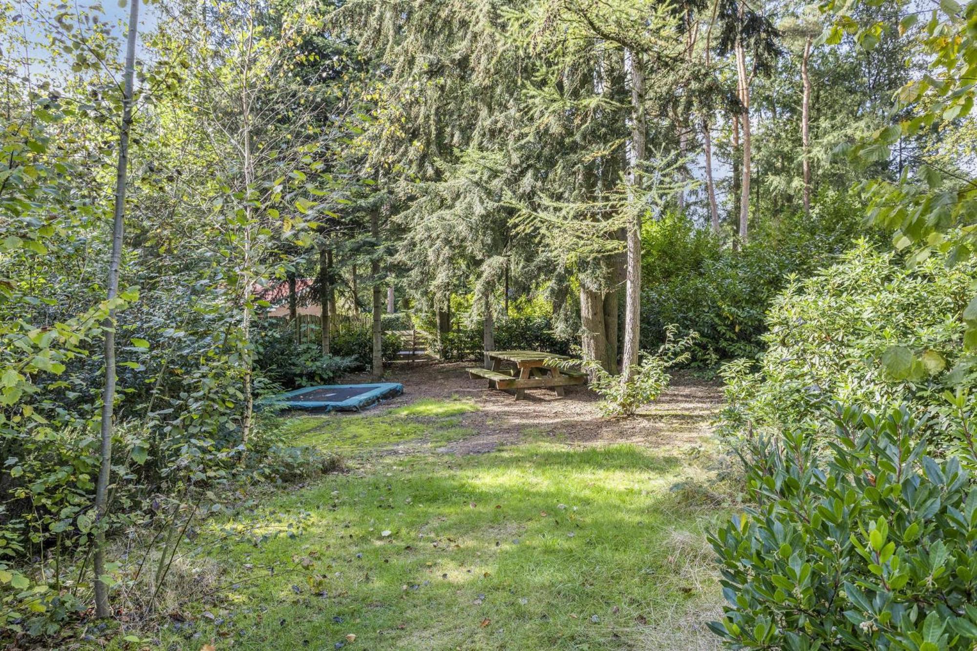 Relaxen In Het Bos Met Privesauna โฮลเตน ภายนอก รูปภาพ