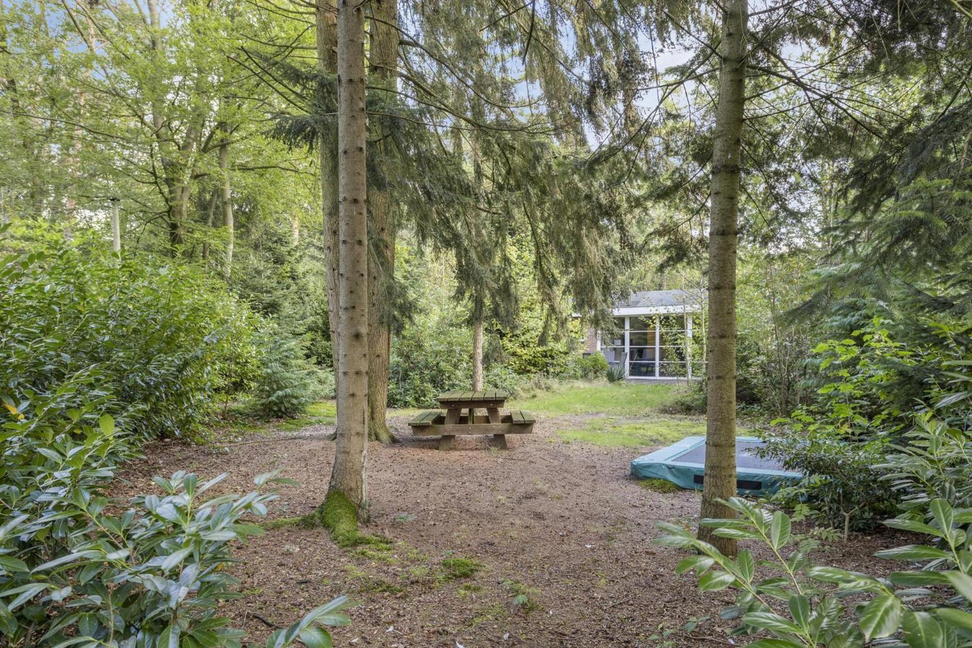 Relaxen In Het Bos Met Privesauna โฮลเตน ภายนอก รูปภาพ