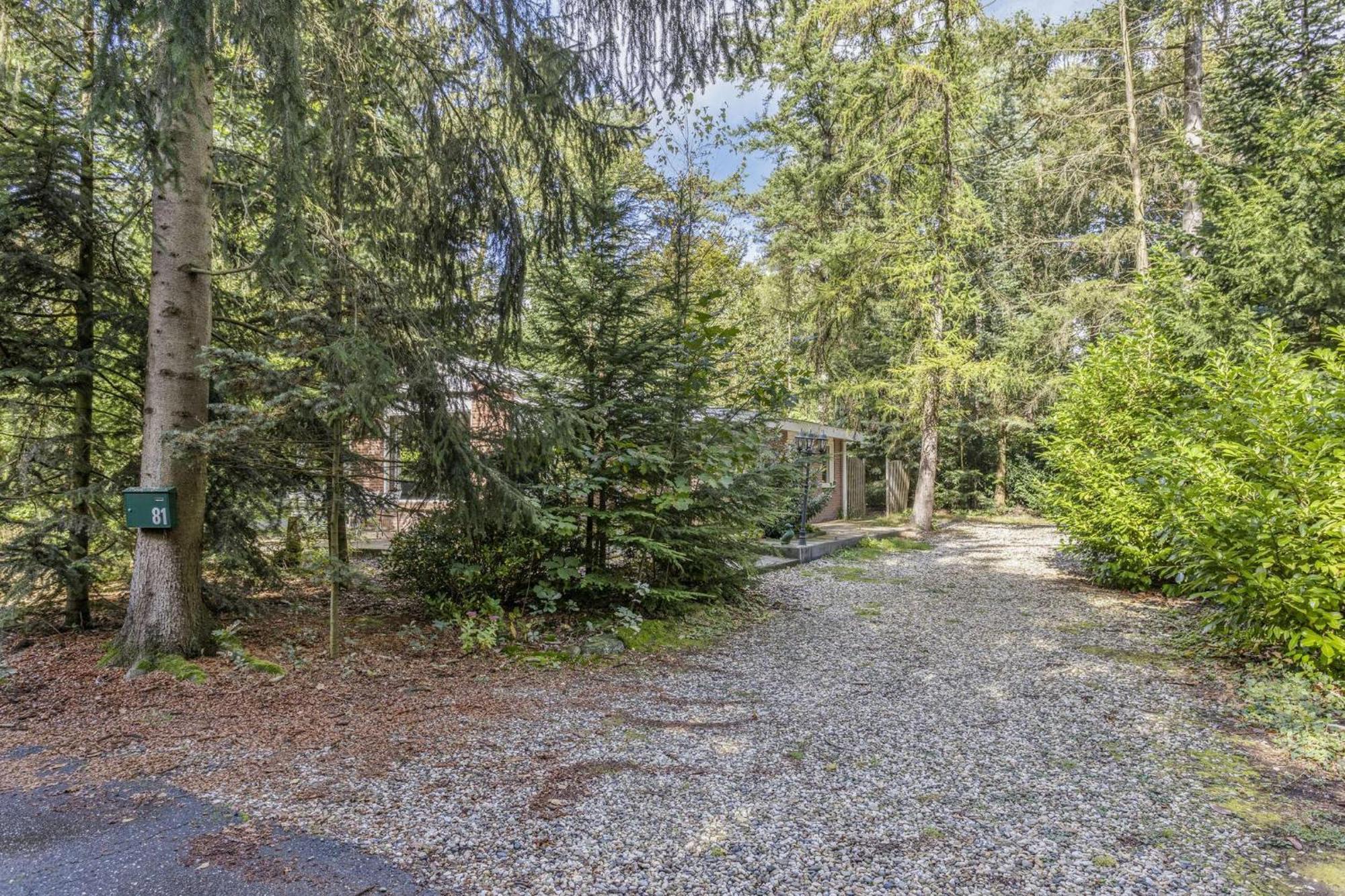 Relaxen In Het Bos Met Privesauna โฮลเตน ภายนอก รูปภาพ