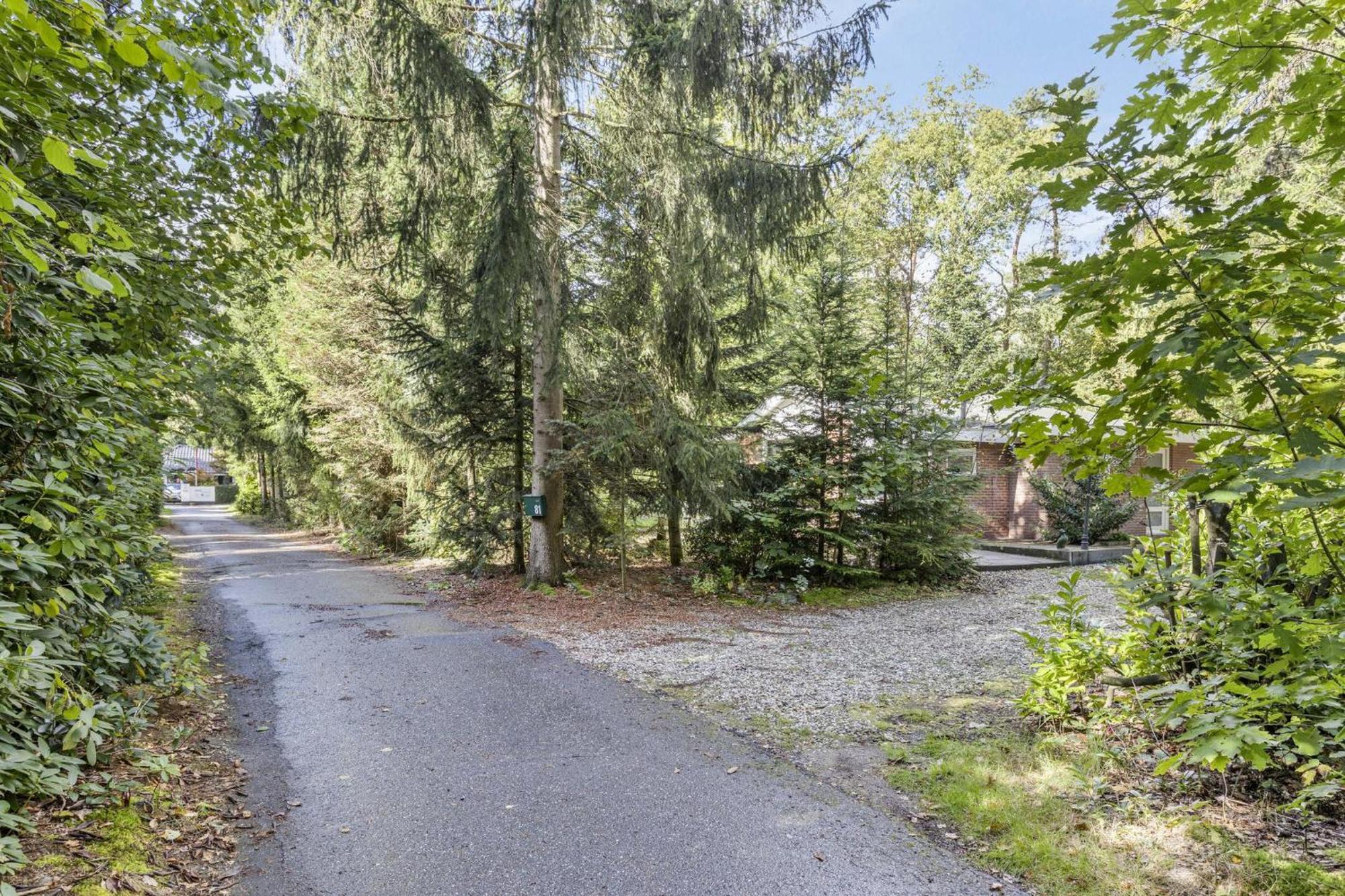 Relaxen In Het Bos Met Privesauna โฮลเตน ภายนอก รูปภาพ