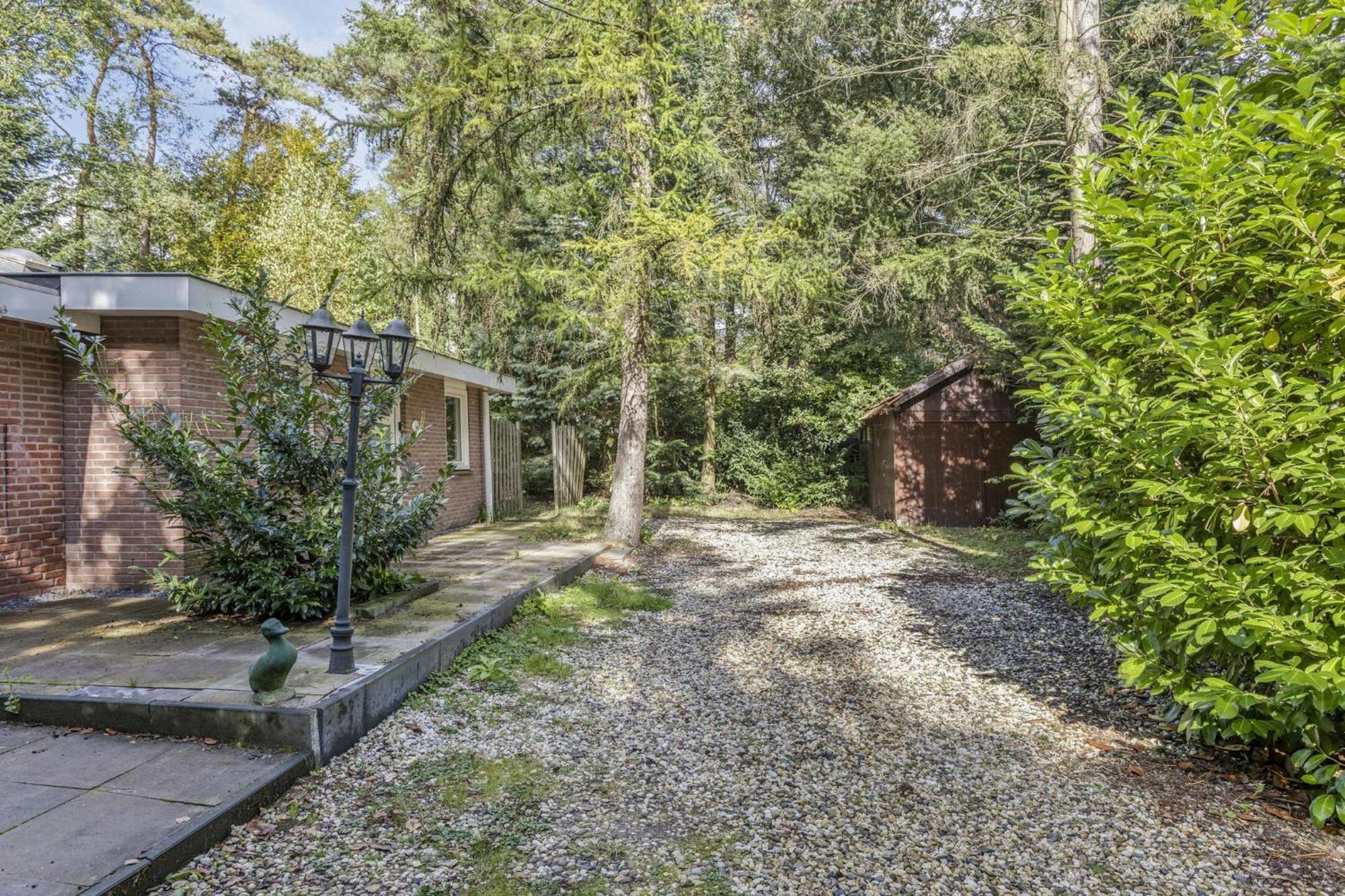 Relaxen In Het Bos Met Privesauna โฮลเตน ภายนอก รูปภาพ
